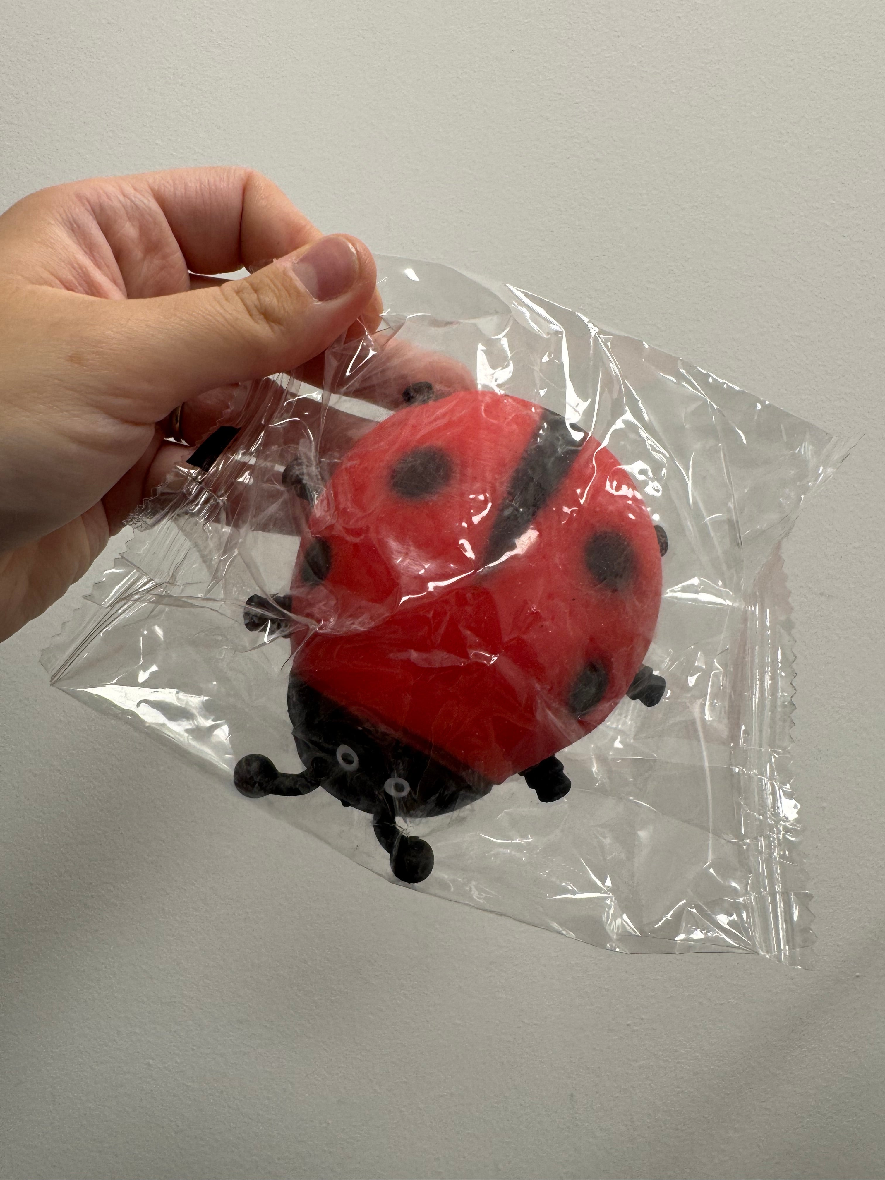 Squishy Ladybird