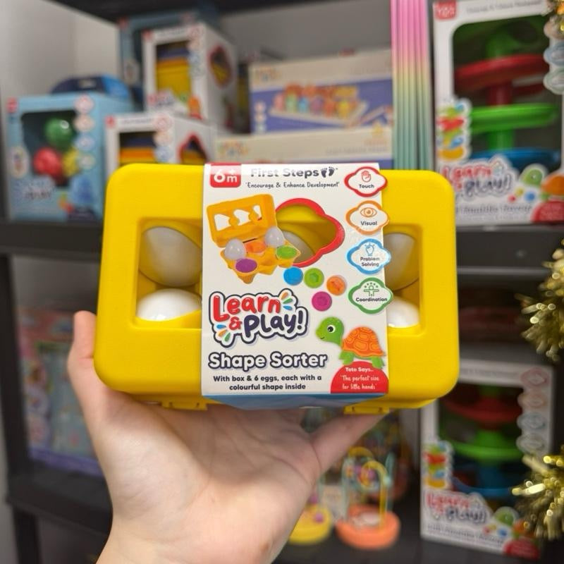 First Steps Learn and Play Egg Shape Sorter