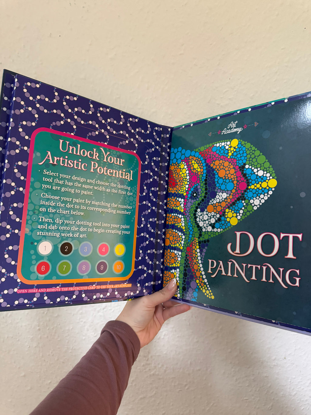 Art Academy Dot Painting