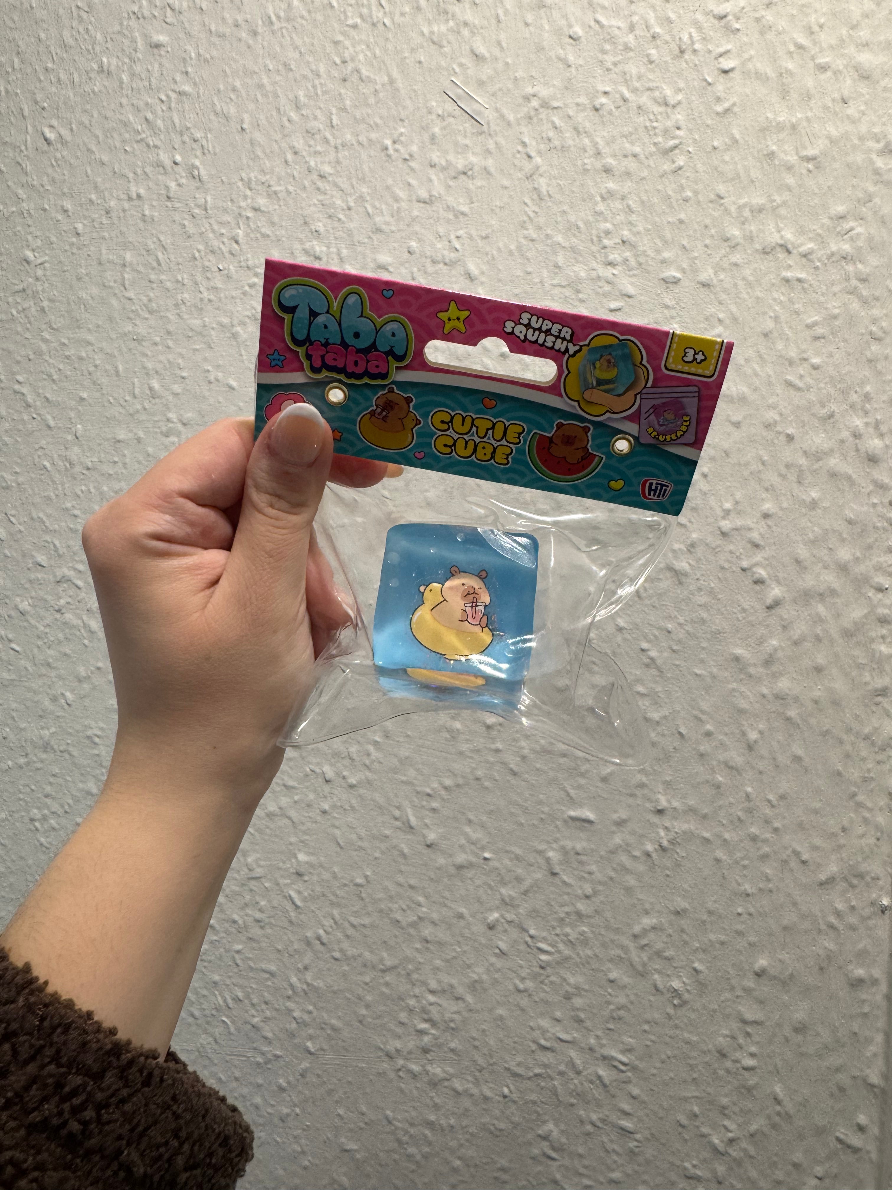 Taba Cutie Cube Capybara 6 Assorted Designs