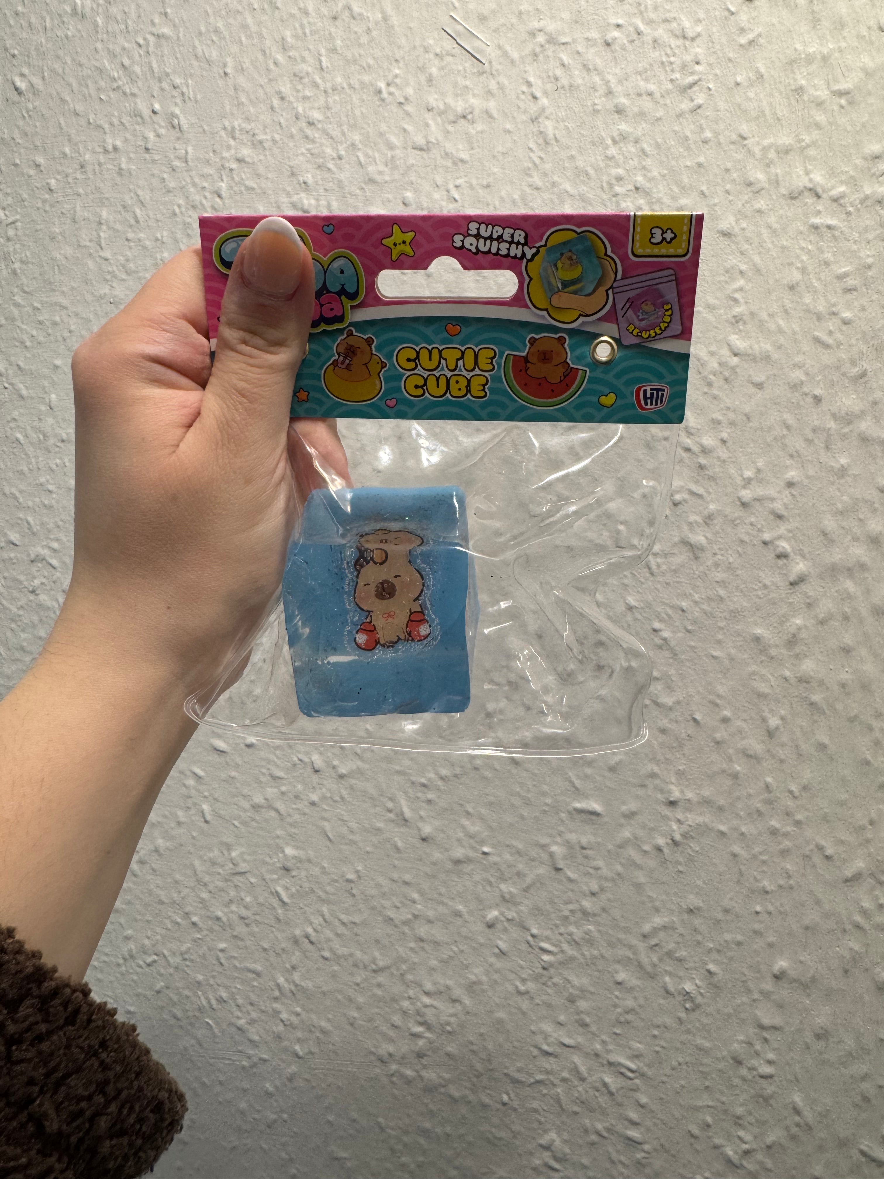 Taba Cutie Cube Capybara 6 Assorted Designs