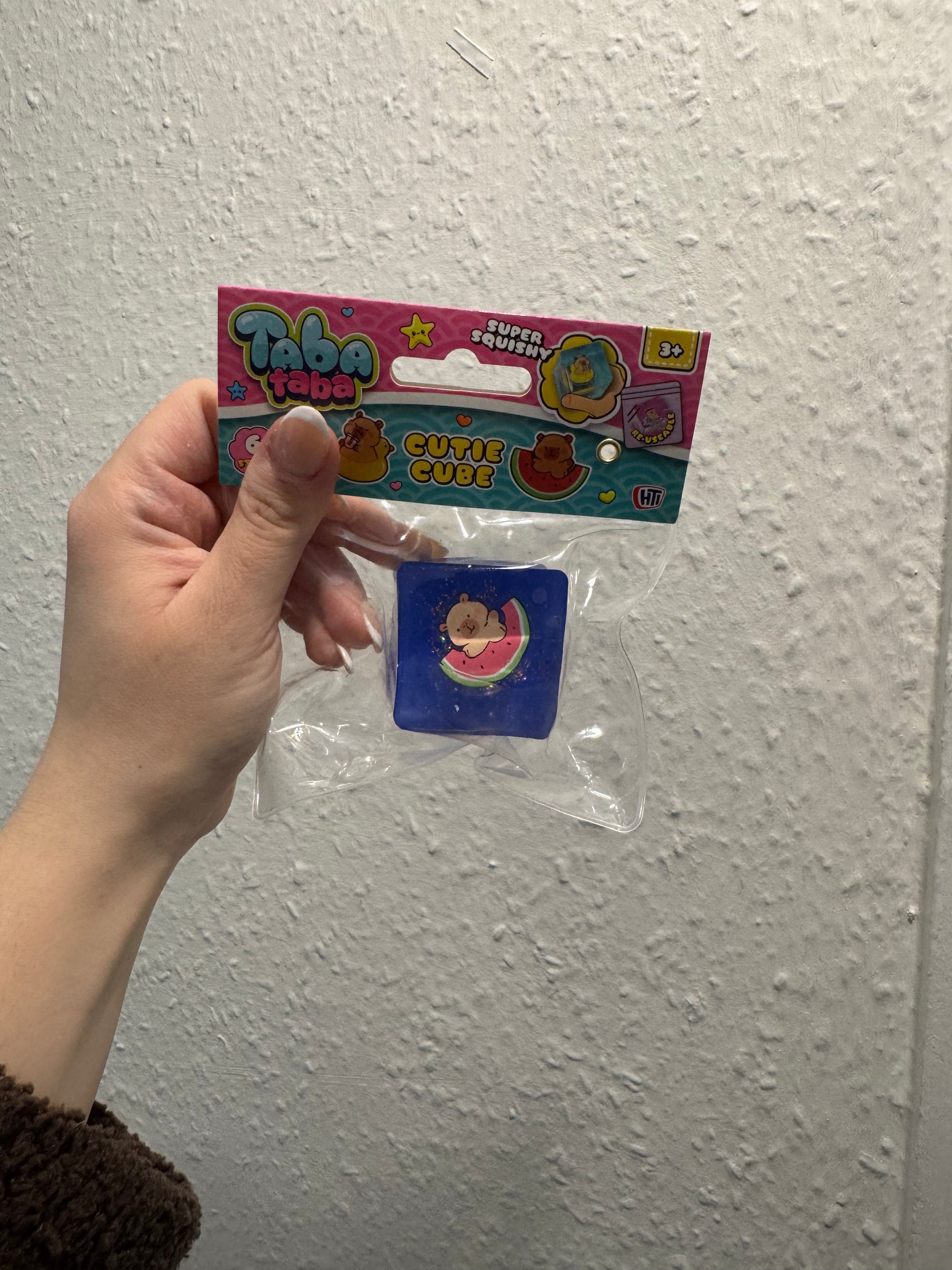 Taba Cutie Cube Capybara 6 Assorted Designs