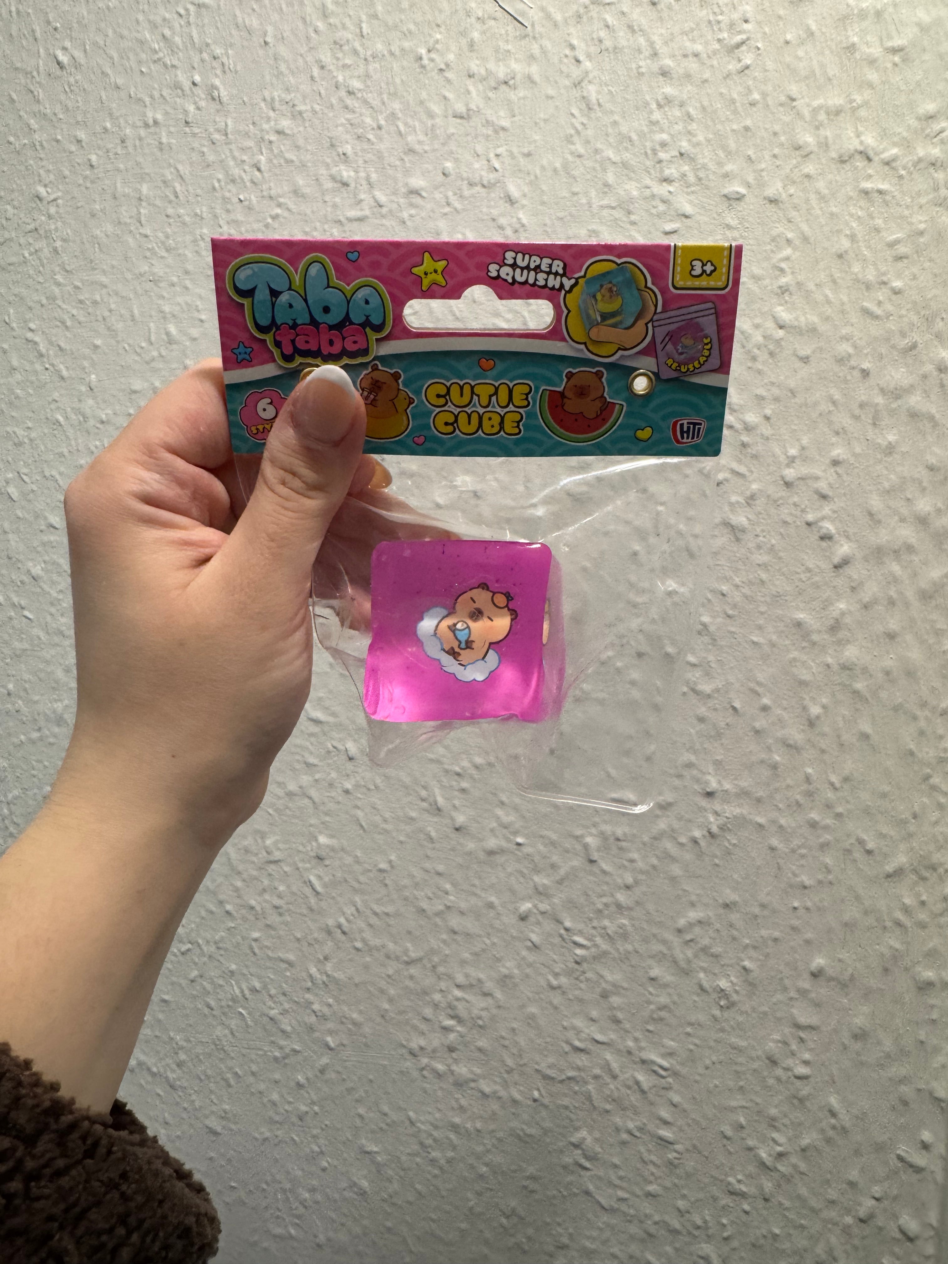 Taba Cutie Cube Capybara 6 Assorted Designs